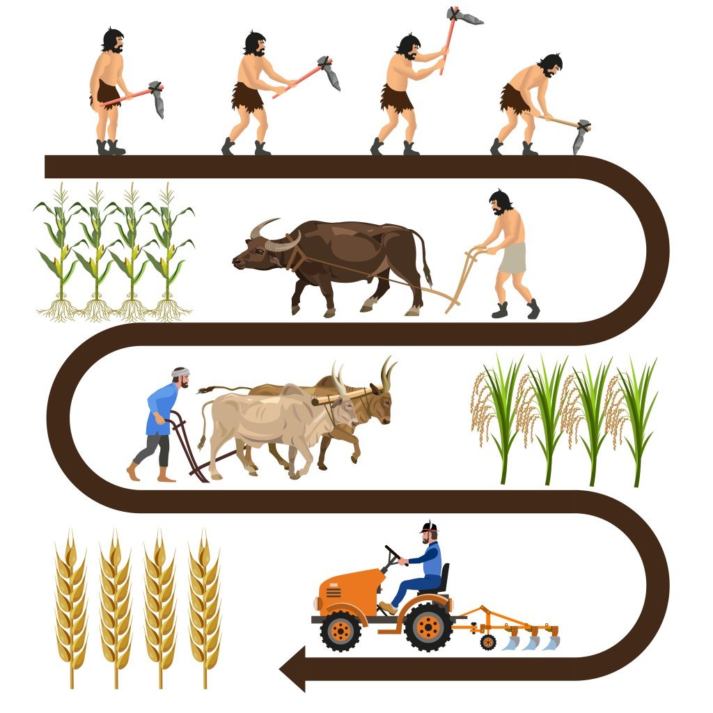 Historical chronology of agriculture. Collection of vector illustrations for infographics - Vector(Hennadii H)s