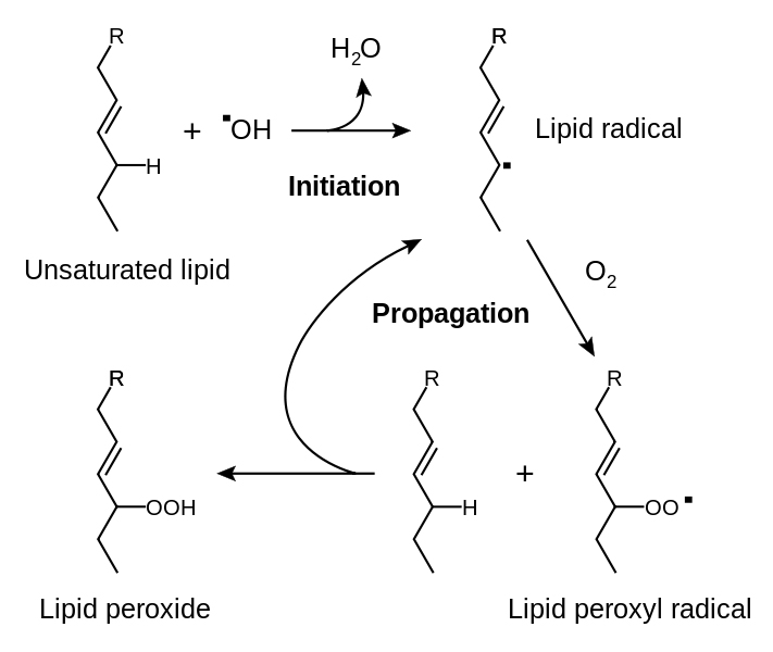 Lipid peroxidation