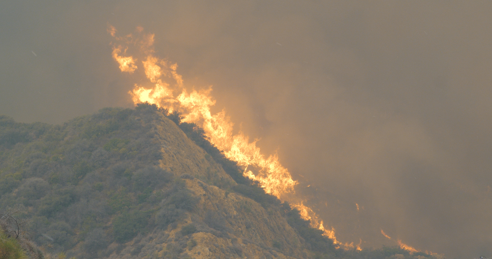 Woolsey Fire 2018 em Malibu, Califórnia - imagem (Morphius Film) s