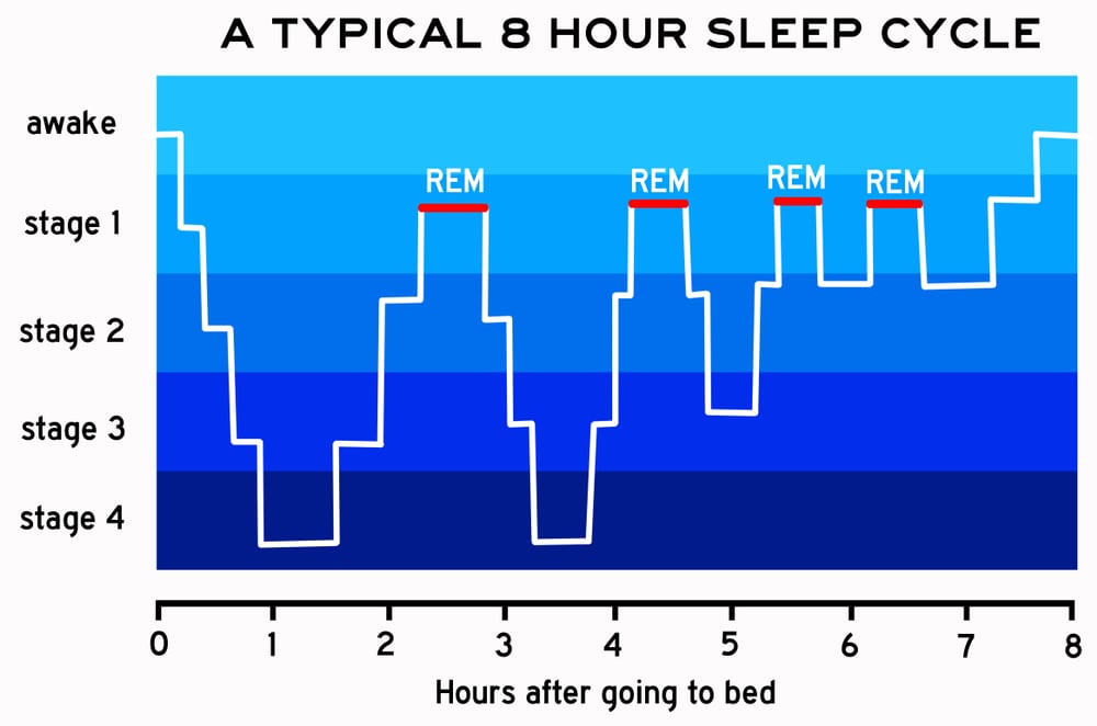 Stages Of Sleep Cycle Chart