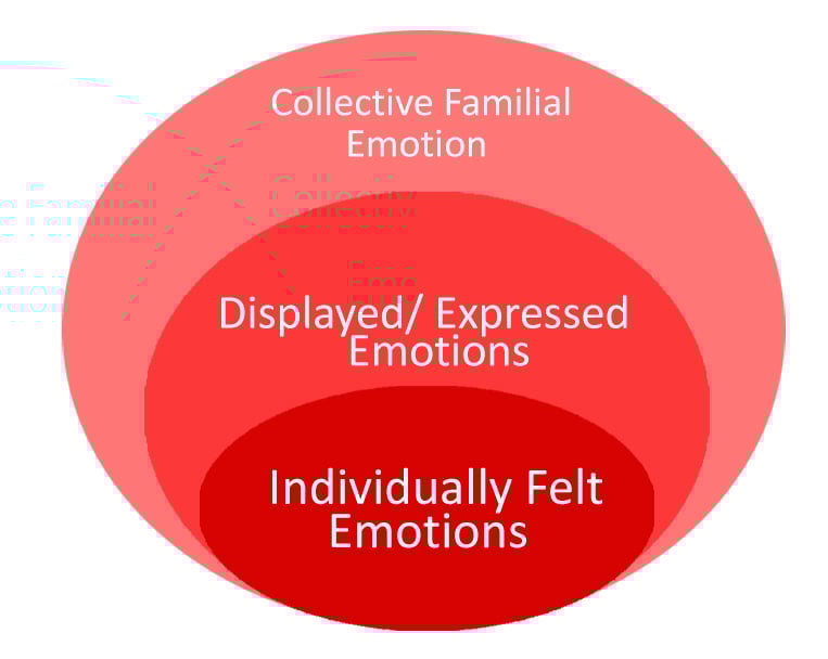 The ripples of emotion in a family