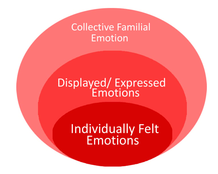 The ripples of emotion in a family