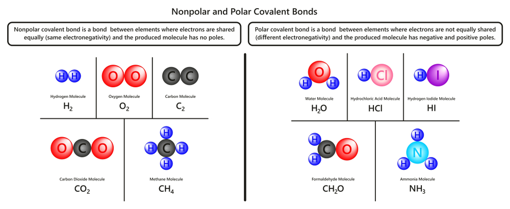 hydrogen oxygen carbon dioxide methane water formaldehyde and ammonia molecules for chemistry science education(udaix)s