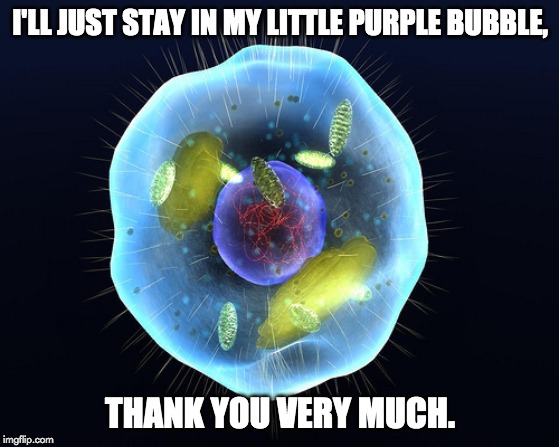 i'll just stay in my little purple bubble
