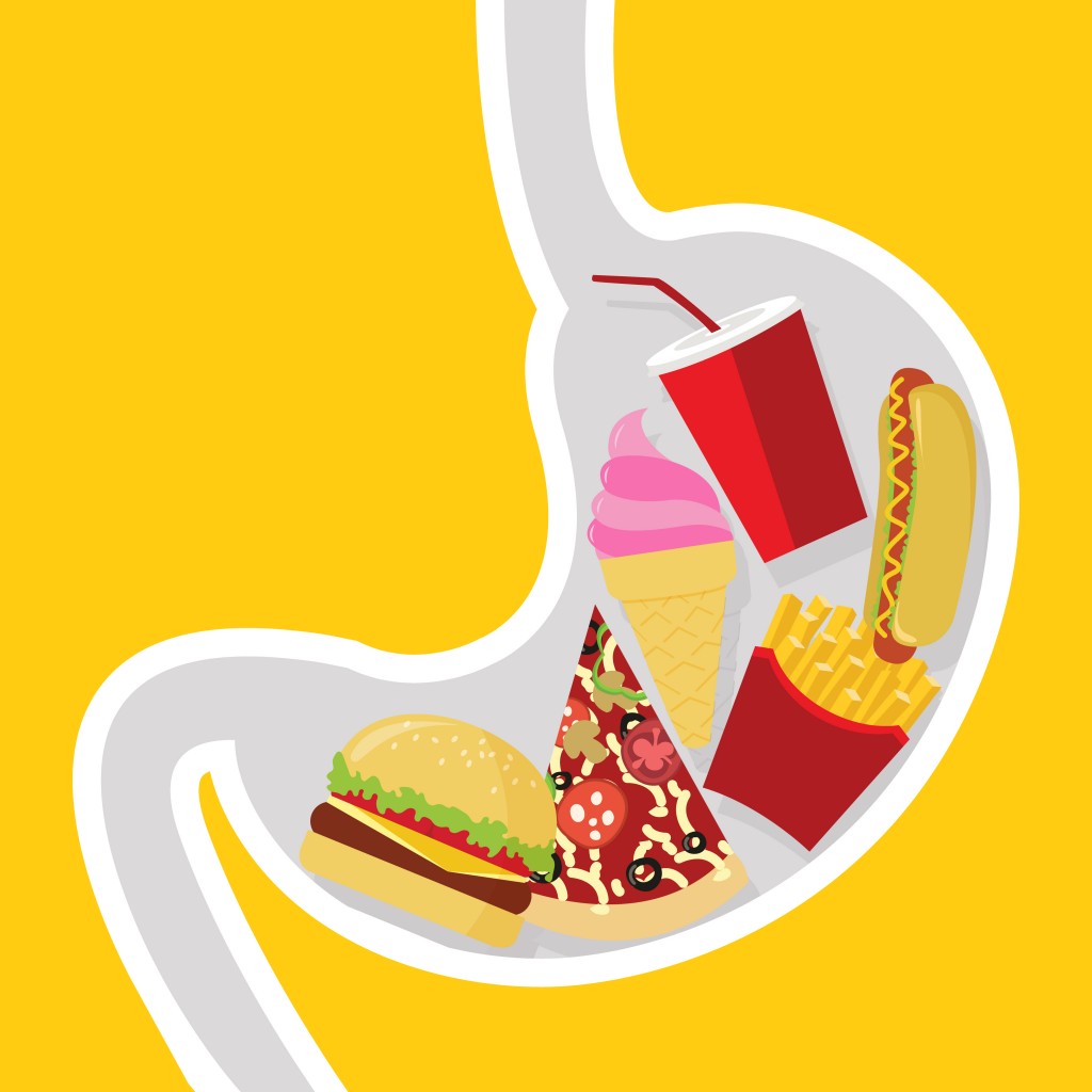 estômago cheio por ilustração em vetor fast-food dos desenhos animados - Vector (Rhenzy) s
