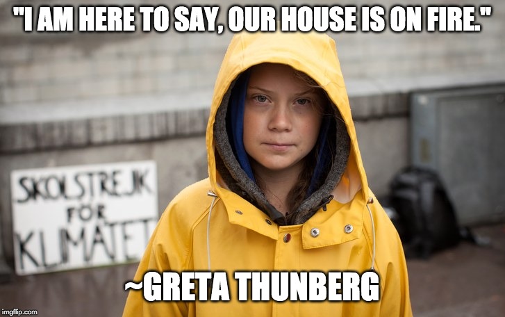i am here to say, our house on fire meme