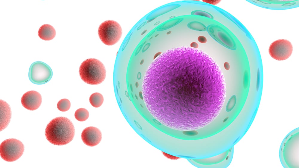 Células T atacando células cancerígenas - ilustração 3D - ilustração (Giovanni Cancemi) S