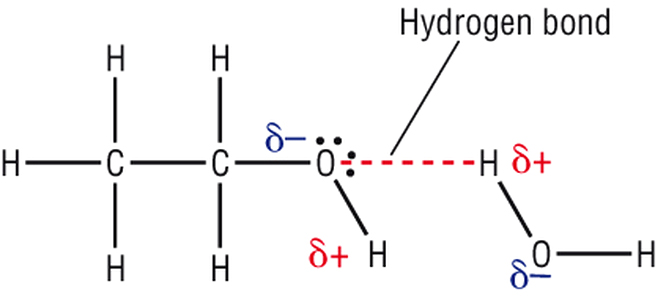 non polar compounds