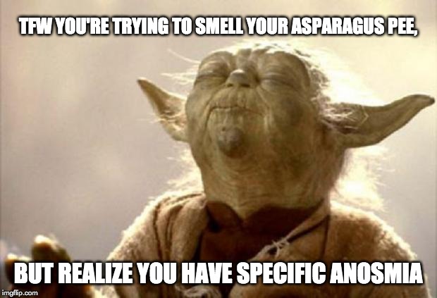 tfw you're trying to smell your asparagus pee meme