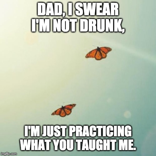 dad i swear i'm not drunk meme