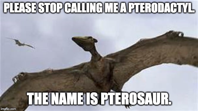 Pterodactyl Dinosaur: Size, Wingspan, Habitat And Other Facts