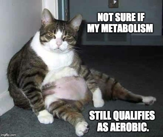 not sue if my metabolism meme0