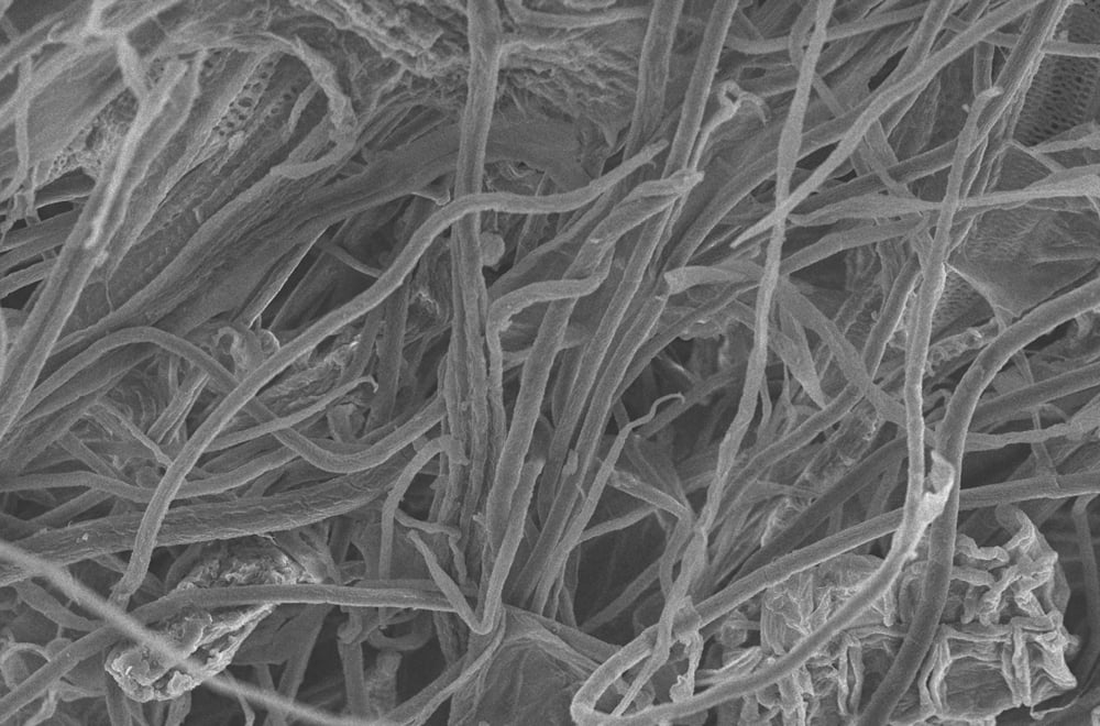 Fibra de celulose de palha de arroz com um microscópio eletrônico de varredura (TinyPhoto) s