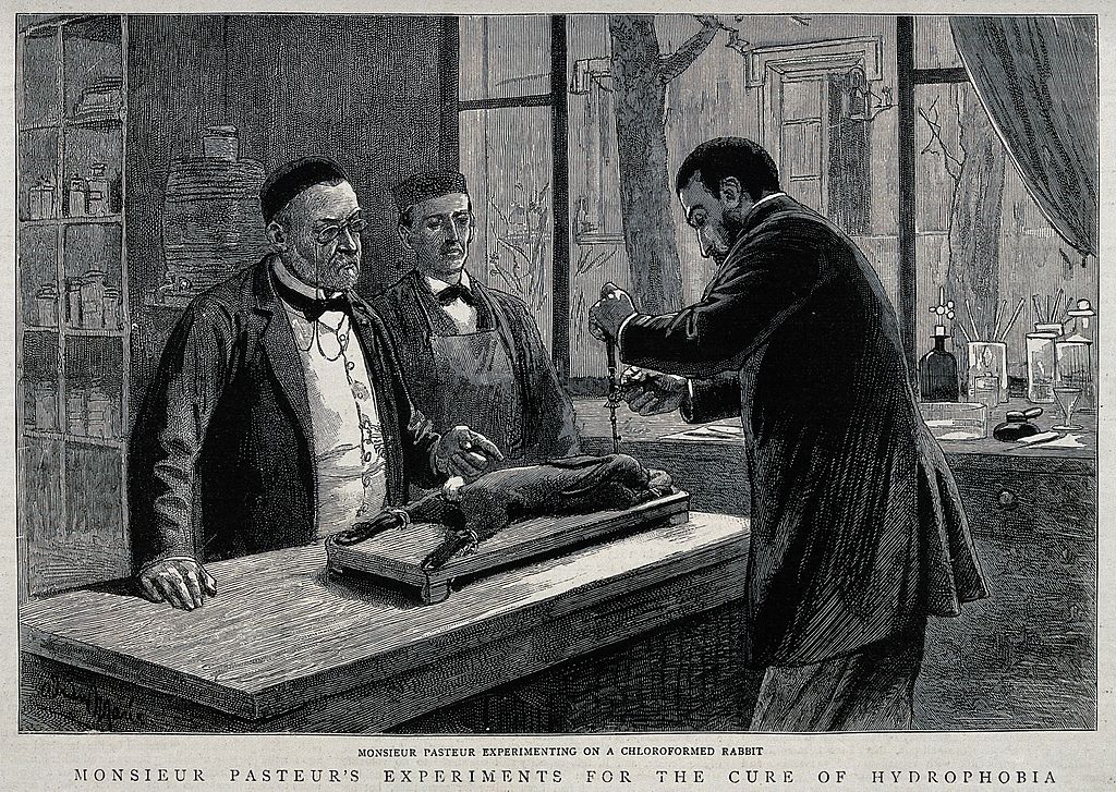 Louis Pasteur injeta vírus da raiva no cérebro de um coelho