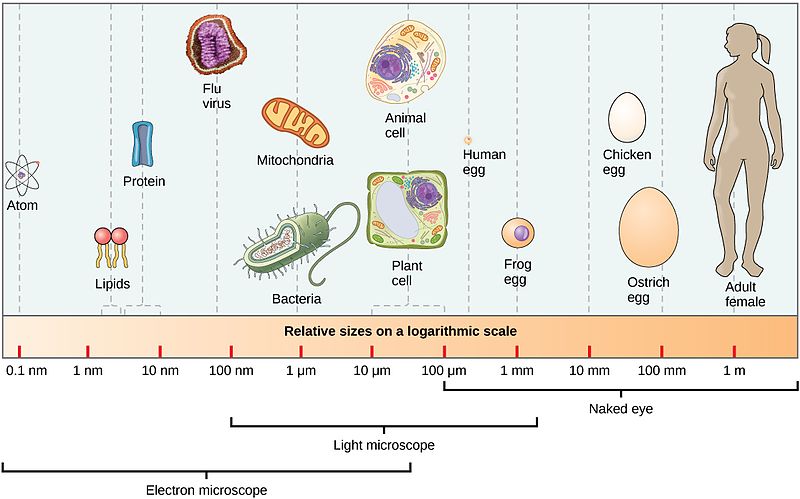 A escala nanométrica