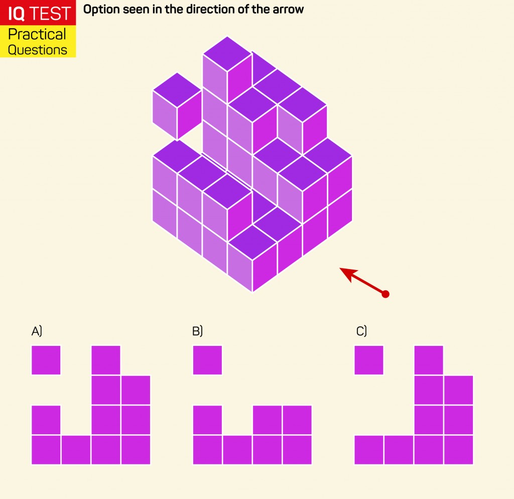 Visual intelligence questions(Visual intelligence questions(Emir Kaan)ss