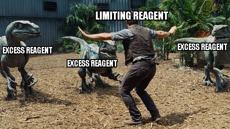 Limiting Reagent