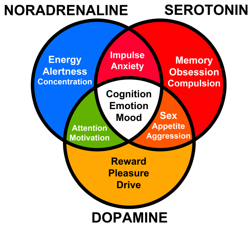funktioner av olika hormoner som serotonin, dopamin och noradrenalin (desdemona72)