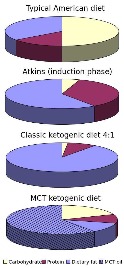 ketogenic diet plan