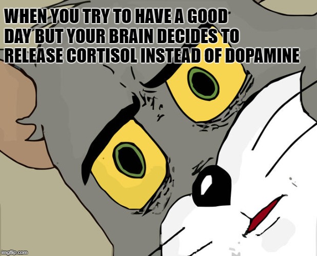 quando você tenta aproveitar um bom dia, mas seu cérebro decide realocar cartisol em vez de dopamina