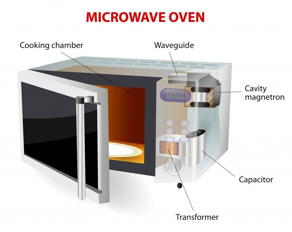 microwave oven. vector diagram. How does this work. microwave oven(Designua)S