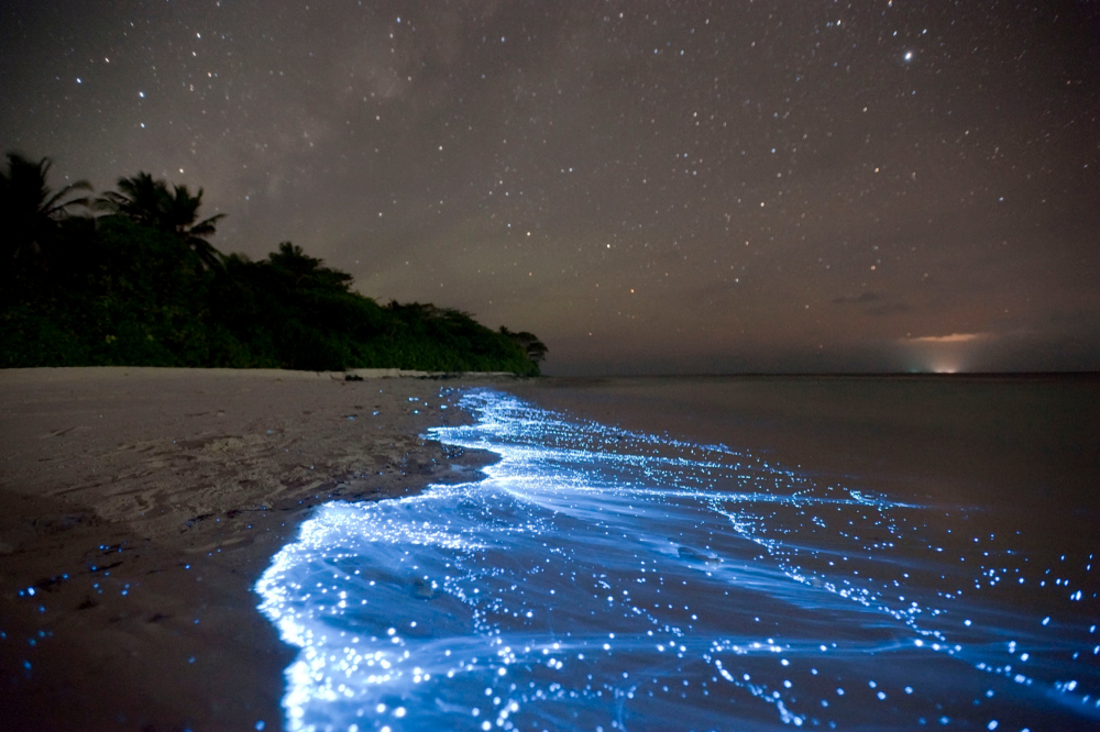 oceano onde há um plâncton Glow na água, produzindo luz azul (Isabella Miller) s