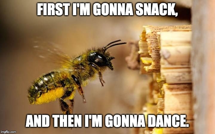 first i'm gonna snack meme