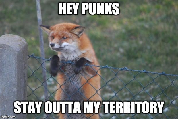 hy punks stay outta my territory meme