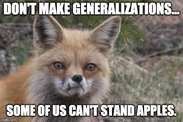 don't make generalizations meme