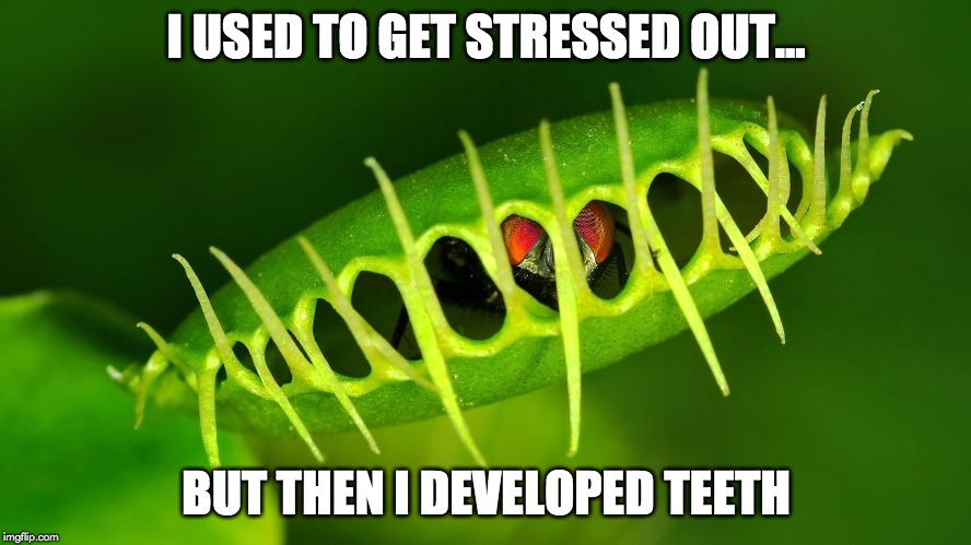 eu costumava ficar estressado meme