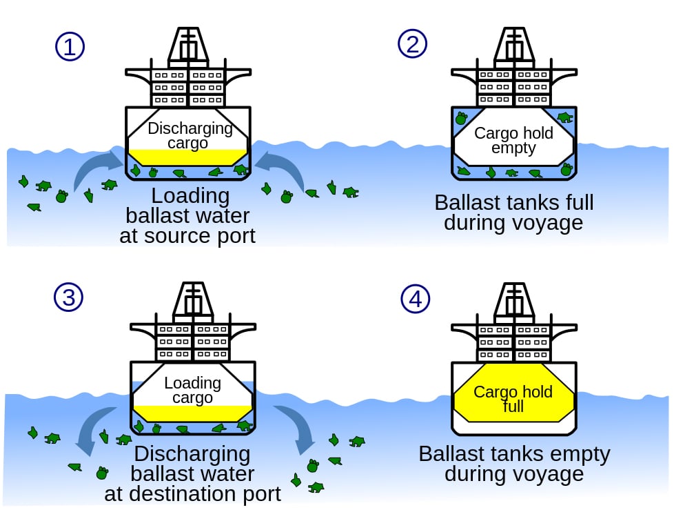 Ballast water