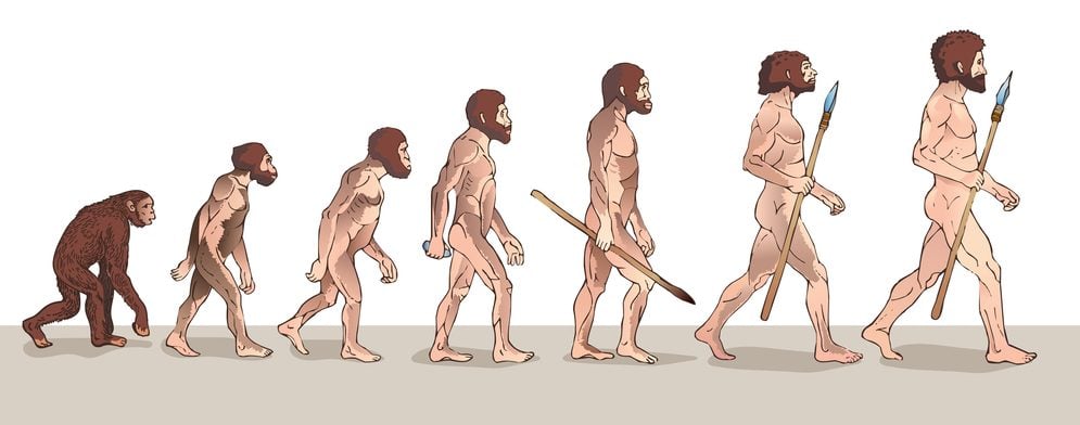 Ilustração da evolução humana (Usagi-P) s