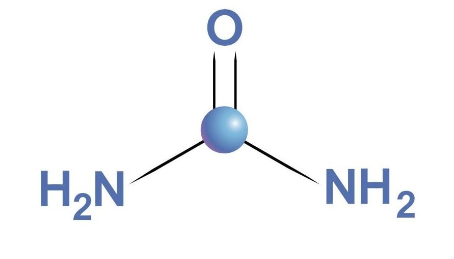 Urea chemical formula( Anastasiya Litvinenka)s