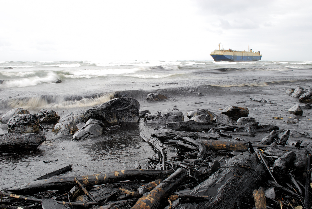 oil spill(fish1715)s