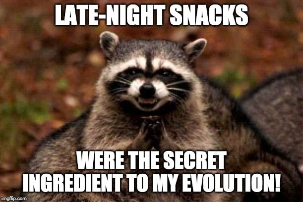 Nocturnal Adaptations Explained: How Nocturnal Animals Hunt In Dark? Nocturnal Adaptations Explained: How Nocturnal Animals Hunt In Dark?