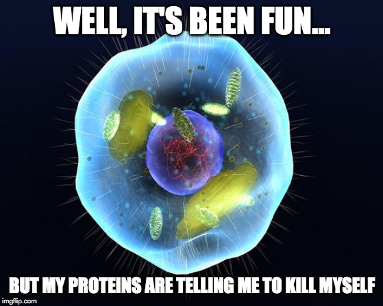 well its been fun meme