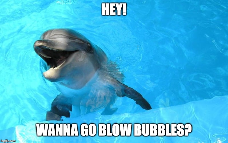 hey! wanna go blow bubbles? meme