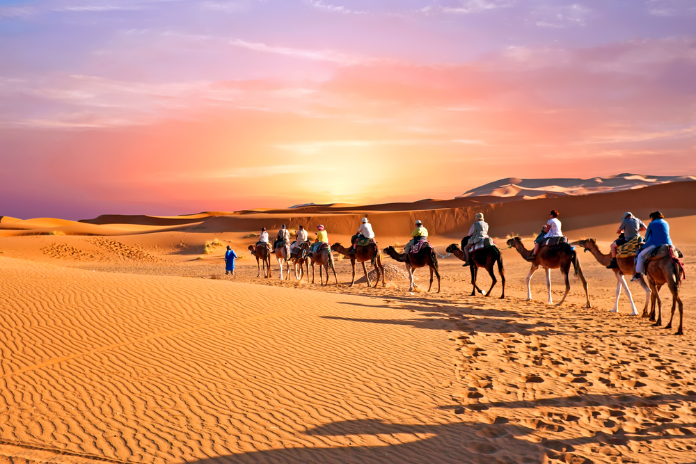 Caravana de camelos atravessando as dunas de areia no deserto do Saara, Marrocos (Steve Photography) s