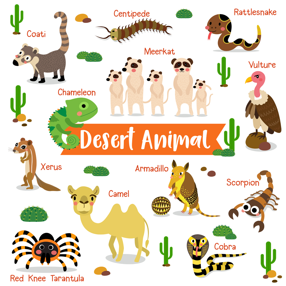 Desenho de criatura do deserto em fundo branco com nome de animal (natchapohn) s