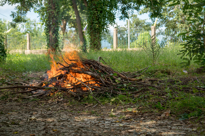 Os galhos secos são eliminados pela queima (Pramuan Poonsang) s