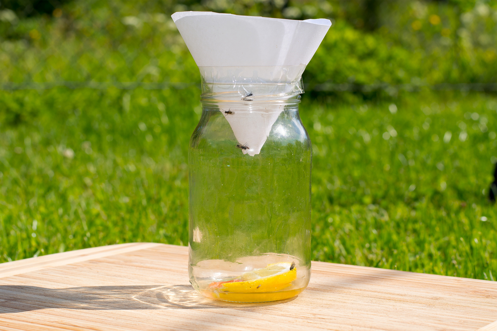 Fruit and small flies trap made out of jar(nkula)s