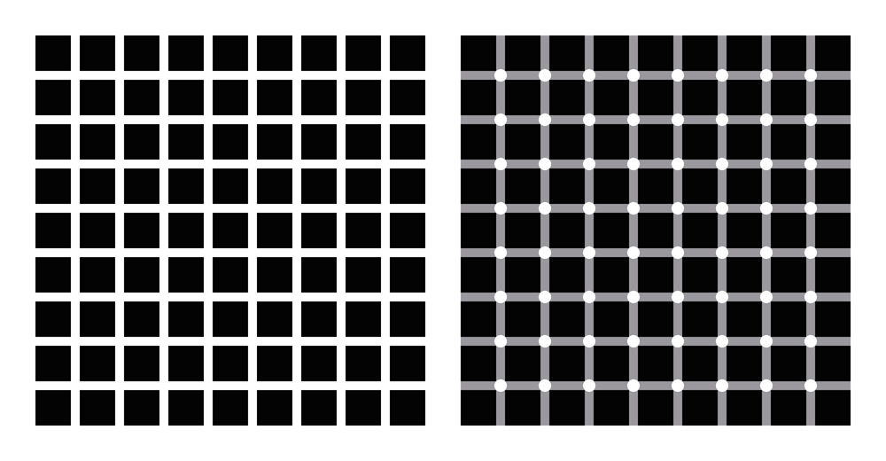 Hermann grid and scintillating grid illusion(Peter Hermes Furian)s