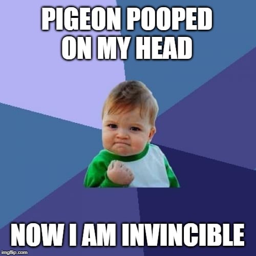 PIGEON POOPED ON MY HEAD; NOW I AM INVINCIBLE