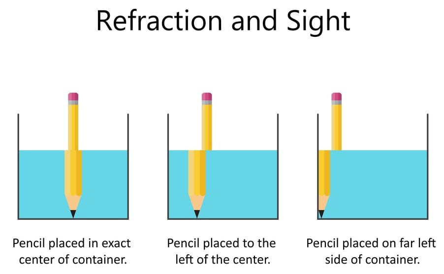 Refraction of light. A pencil in a glass of water(Fancy Tapis)s