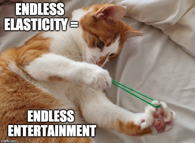 endless elasticity meme