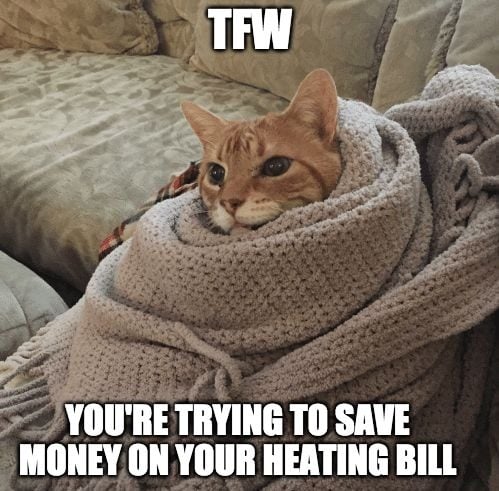 TFW you're trying to save money on your heatin bill
