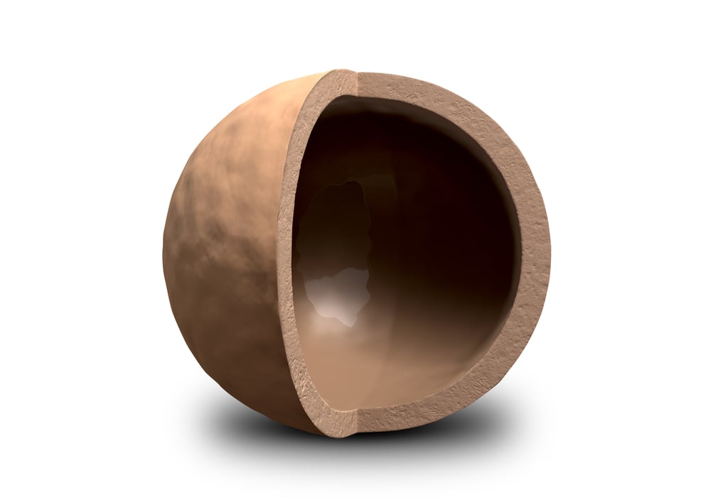 A hollowed out macadamia nut shell with a quarter segment cut away(Inked Pixels)s