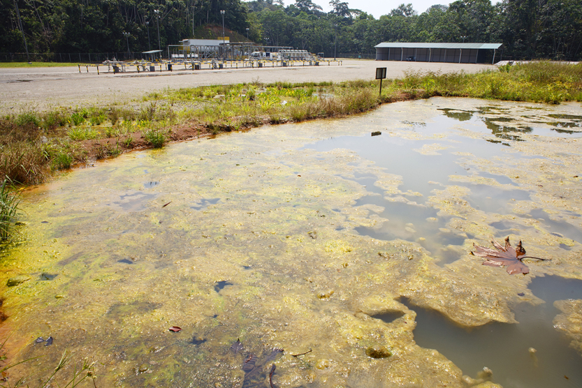 Bioremediation pond for soil contaminated with crude oil(Dr Morley Read)s