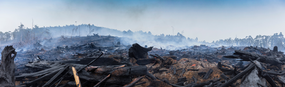 Bushfire smouldering in Australian Outback Panoramic(Jamen Percy)s