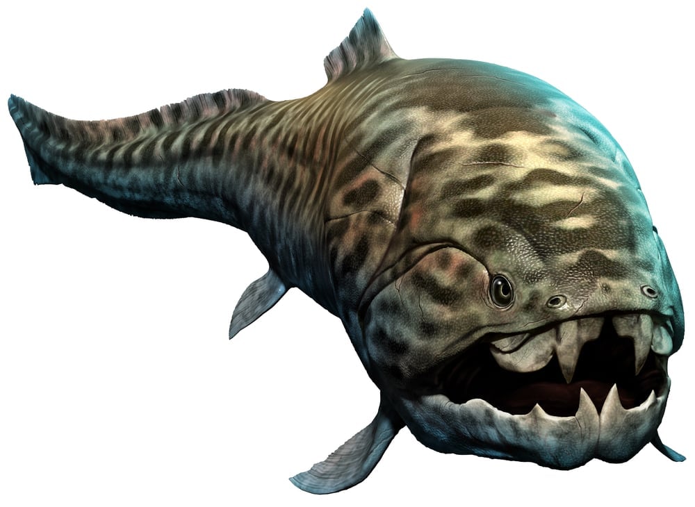 Dunkleosteus 3D illustration(Warpaint)s